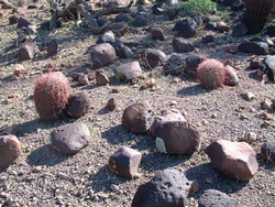 Nice desert varnish on these rocks.