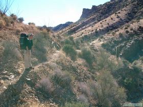 The bighorn trail crews have been hard at work here!.