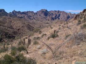 Looking south towards Kofa Queen Canyon (in the distance).