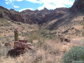 Looking up Ten Ewe Canyon.