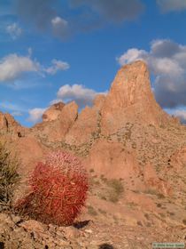This spire stands guard over a young barrel cactus.