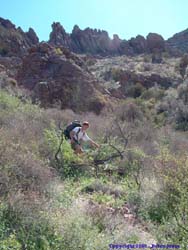 Jeff navigates through the thicket.