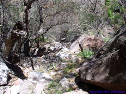 Boulders and thickets were just two of the obstacles that hindered our path