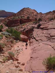 Jeff and Shannon approach the first section of Narrows on the Wire Pass trail