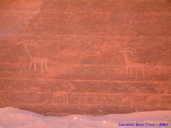 Big horn petroglyphs at the confluence of Wire Pass and Buckskin Gulch