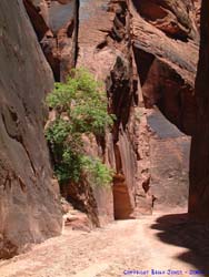 One of the more open areas in Buckskin Gulch