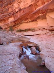 A pretty little waterfall in Paria Canyon.