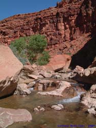 This portion of Paria canyon was filled with beautiful waterfalls.