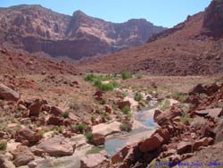 Looking down on the Paria River from one of the overland trails.