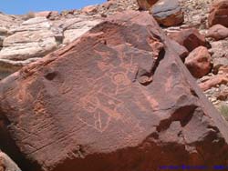 Petroglyphs on a fallen boulder.