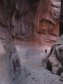 A hiker wading through the stinky muck in Buckskin Gulch near the Paria River confluence.