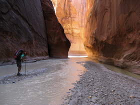 Steve on a gravel bar in the very muddy Paria River.