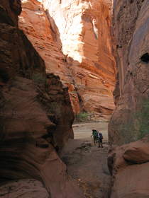 Steve and Chuck at a spring in Paria Canyon.