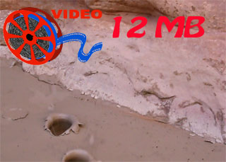 Video of Chuck and I making mud craters.