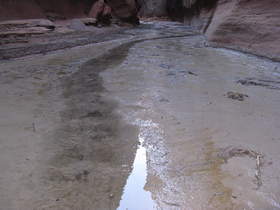 Buckskin Gulch covered in ankle deep muck near the Paria River confluence.