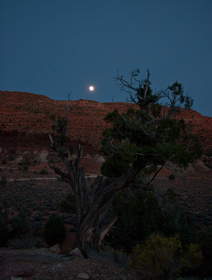 Moon rise over the Coyote Buttes.