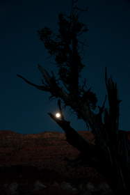Moon rise over the Coyote Buttes.
