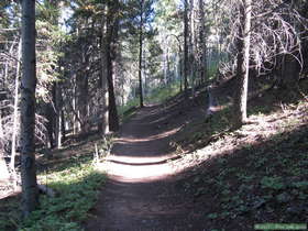 Is this a stereotypical forest trail or what?