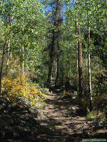 Along the trail to Truchas Peaks.