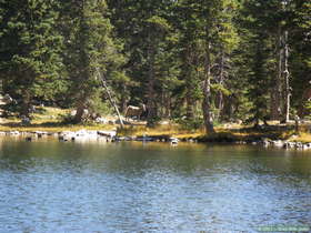 Bighorn (Ovis canadensis) at Truchas Lake in the Sangre de Cristo Mountains.