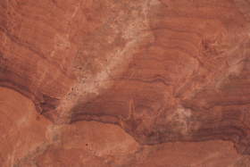 Dinosaur tracks in Coyote Buttes North.