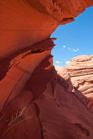 Sandstone fins in Coyote Buttes South.