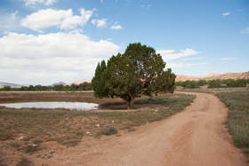 Lone Tree Reservoir near Coyote Buttes South.