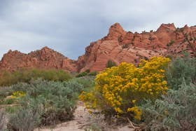 Upper Buckskin Gulch.