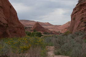 Upper Buckskin Gulch.