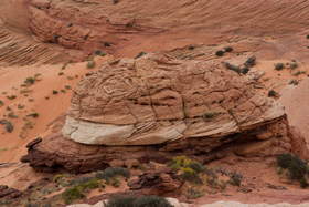A brain-like sandstone formation near upper Buckskin Gulch.