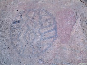 A turtle pictograph in Valle Montevido.