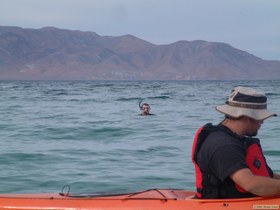 Brian D. searching for stingrays from his yak while Chuck snorkels.