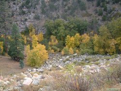 Looking down the face of the earthen dam.