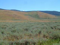 This hillside had an interesting combination of colors and textures.