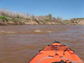 Fear sets in as the boiling, turbulant rapid threatens to overturn the tiny leaf floating on the surface of the man-eating Salt River.