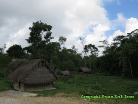 Thatch huts in the town of Santa Cruz.