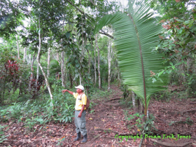 Jose at the town cemetery talking about Mayan burial practices.