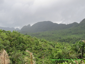 The fire clearing provides views of the jungle expanse and the approaching rain.