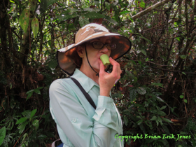 Shannon eating 'gorilla cane' on the hike to Yok Baluum Cave