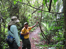 Jose telling Shannon about the properties of some plants on the way to Yok Baluum Cave