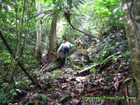 Jose and Shannon climbing the steep, slippery slope up to Yok Baluum Cave