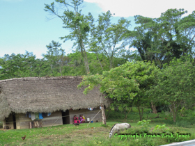 A thatched roof hut in the village of Santa Cruz