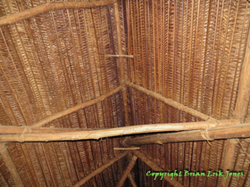 The underside of the thatched roof of Jose and Hilda's dining hut