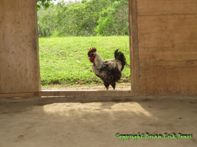 Our lunch included one of this guys relatives.