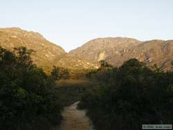 Losing light and unable to continue up this enticing trail.