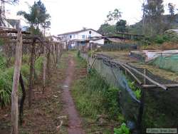 The garden where some of the food is grown for the monastery.