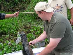 Chuck was in heaven after being able to hold a Pantanal Caiman (Caiman yacare) we caught.