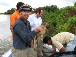 Me holding a young Pantanal Caiman  (Caiman yacare)
