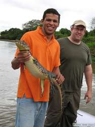 Fabricio said that catching caiman isn't normally something they do.