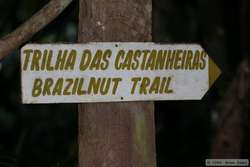 Brazilnut Trail sign.